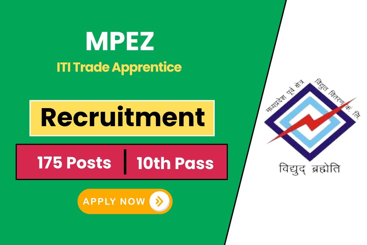MPEZ Recruitment 2025 Finally Out for 175 Post - Know Vacancy Detail & Selection Process